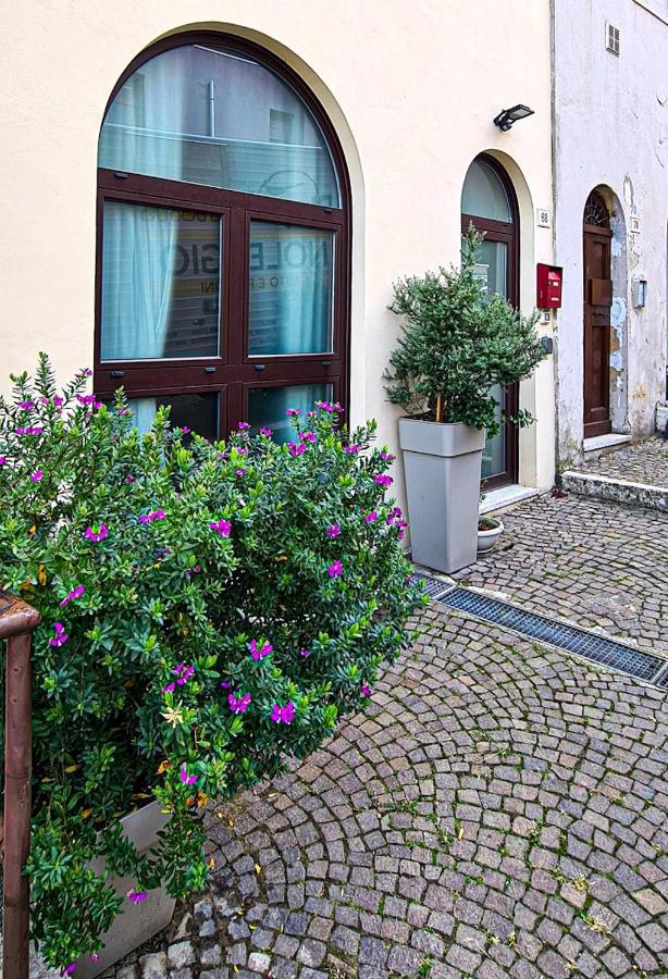 Apartament La Cialdina Ankona Zewnętrze zdjęcie